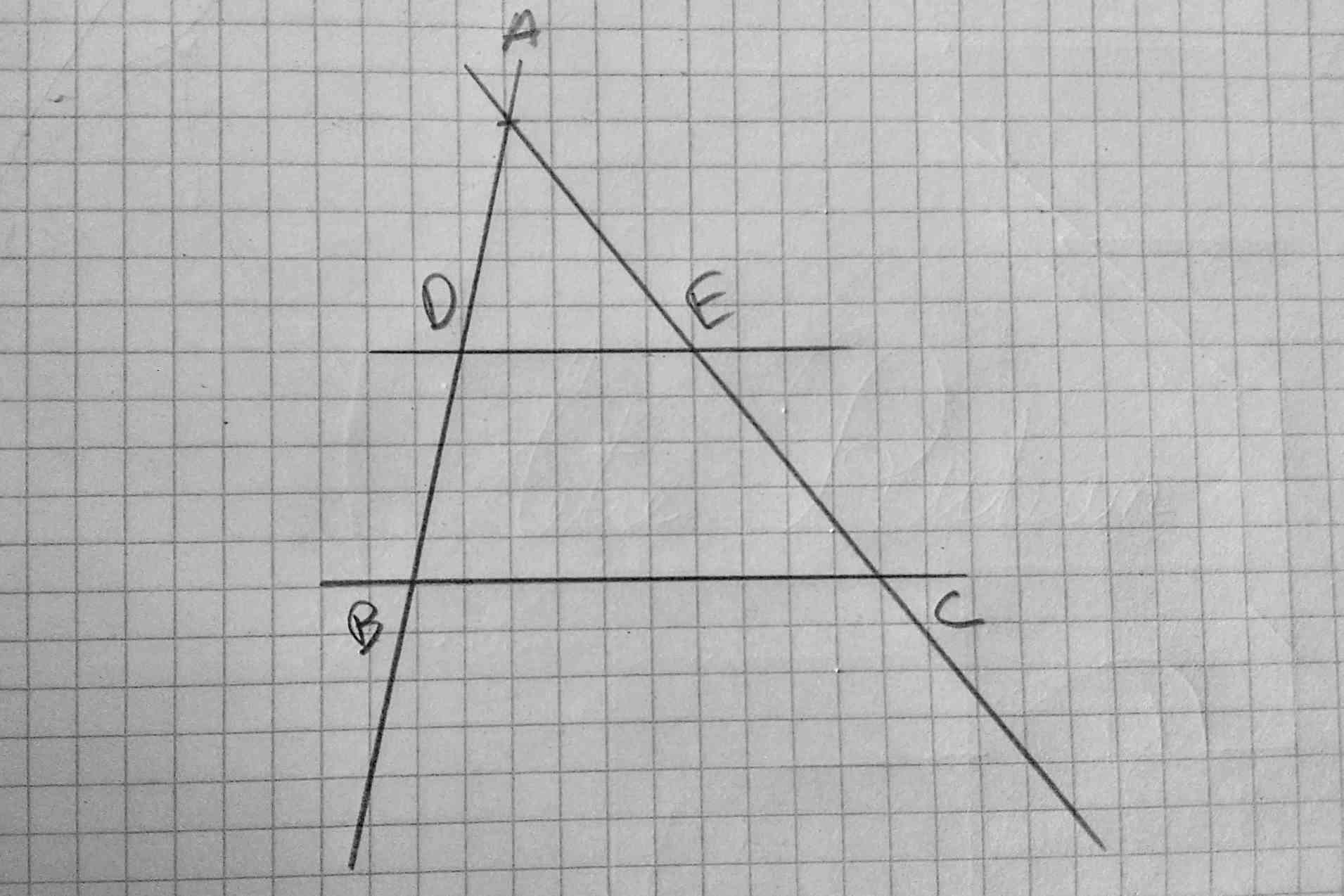 triangle rectangle